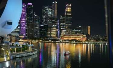 Marina cruise with Transfers