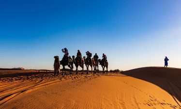 Morning Desert Safari